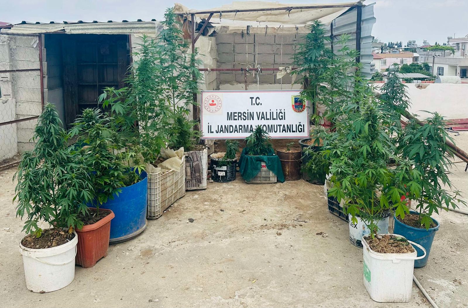 JANDARMADAN UYUŞTURUCU MADDE OPERASYONU