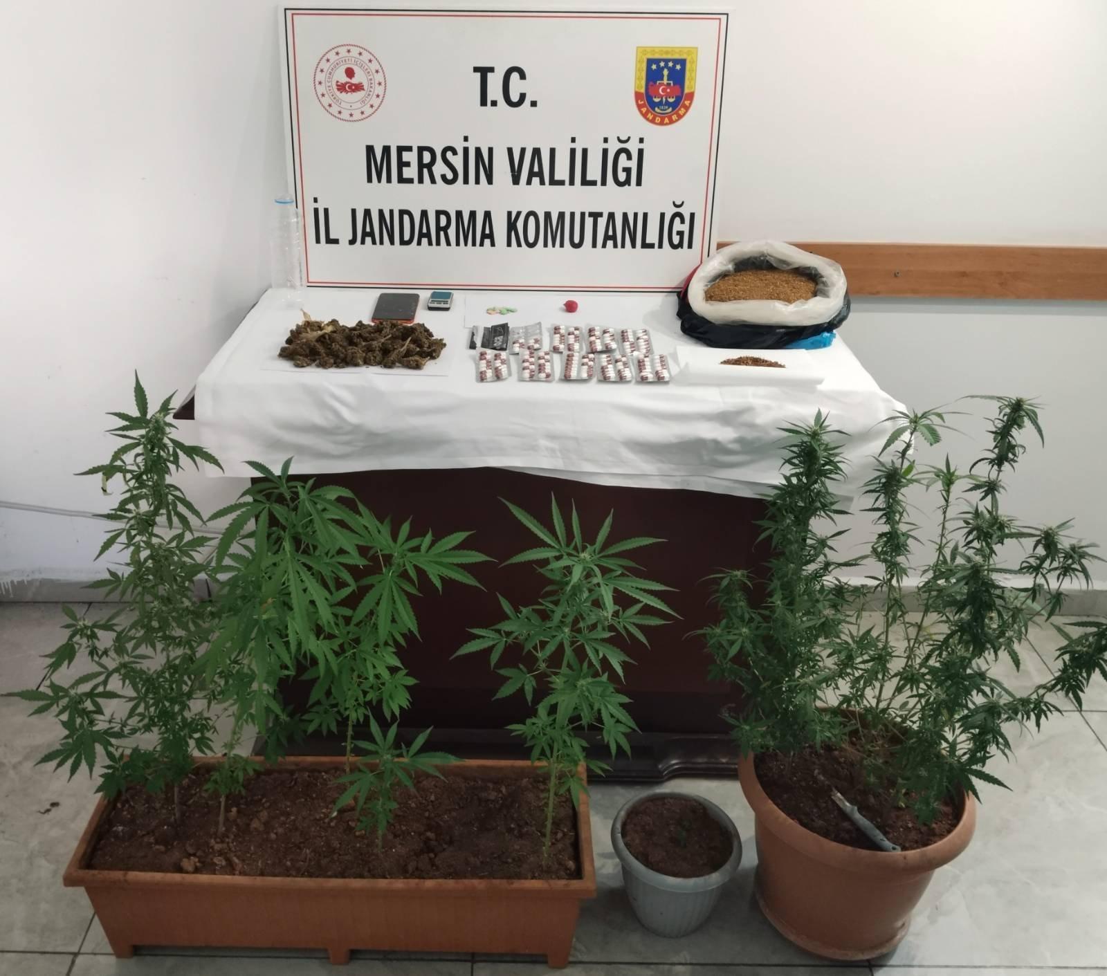 JANDARMADAN UYUŞTURUCU MADDE OPERASYONU