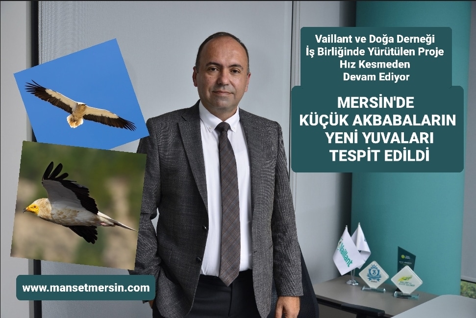 MERSİN’DE KÜÇÜK AKBABALARIN YENİ YUVALARI TESPİT EDİLDİ