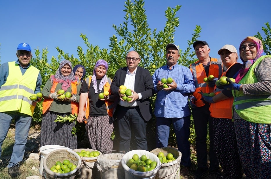 TÜRKİYE’NİN LİMON DEPOSUNDA HASAT SEZONU BAŞLADI