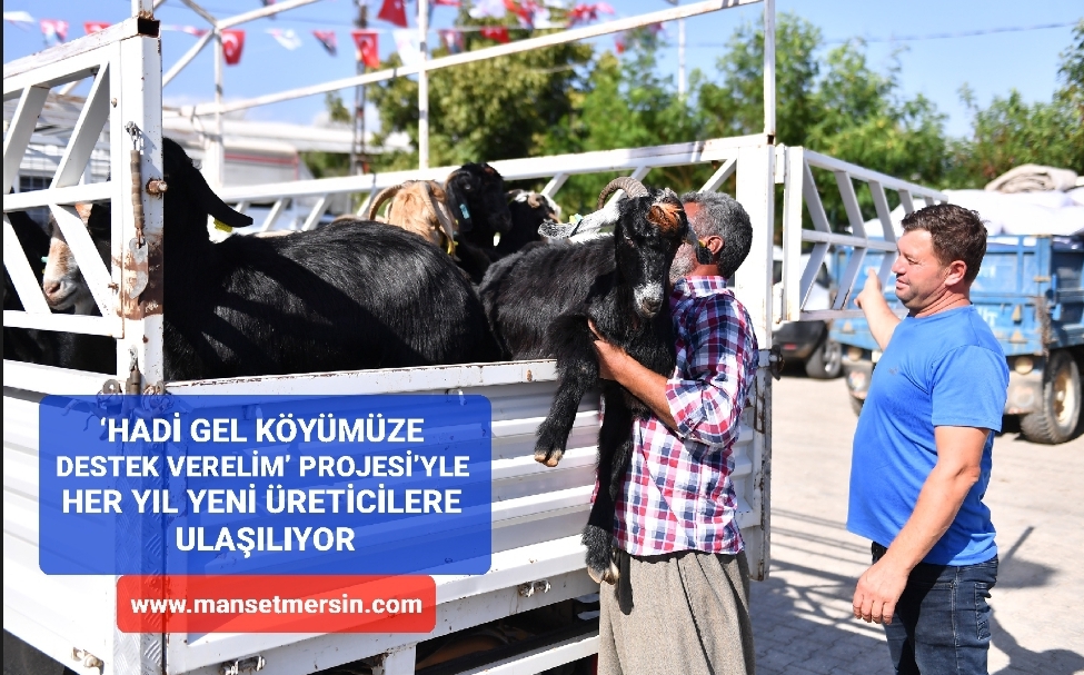 ANAMUR, BOZYAZI VE AYDINCIK’TA ÜRETİCİLERE KÜÇÜKBAŞ HAYVANLARLA YENİ ÜRETİM KAPISI AÇILDI