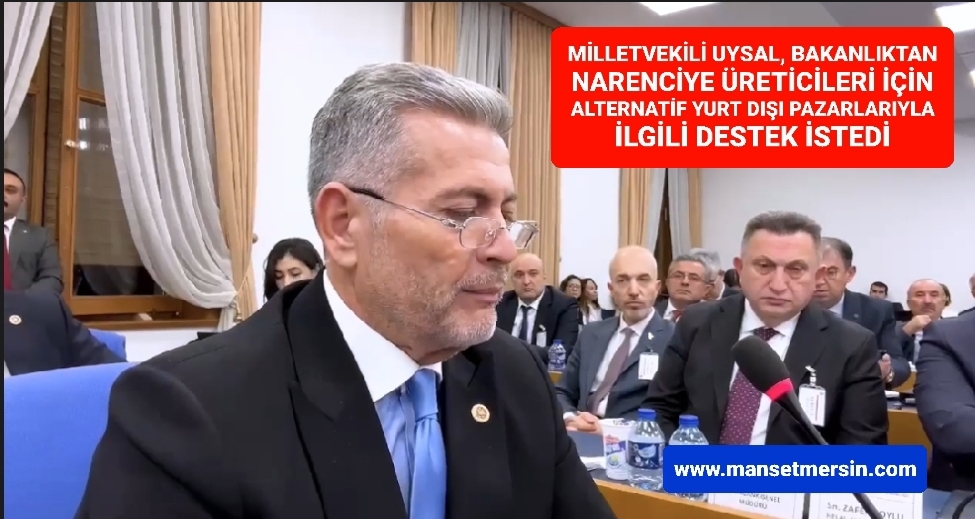 UYSAL, BAKANLIKTAN NARENCİYE ÜRETİCİLERİ İÇİN ALTERNATİF YURT DIŞI PAZARLARIYLA İLGİLİ DESTEK İSTEDİ