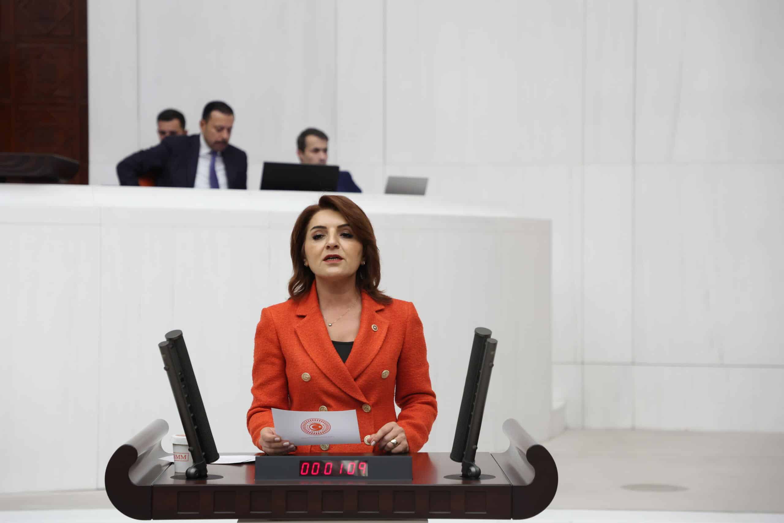 CHP’Lİ KIŞ: “BANKALAR KAZANDI, HALK BORÇLANDI”