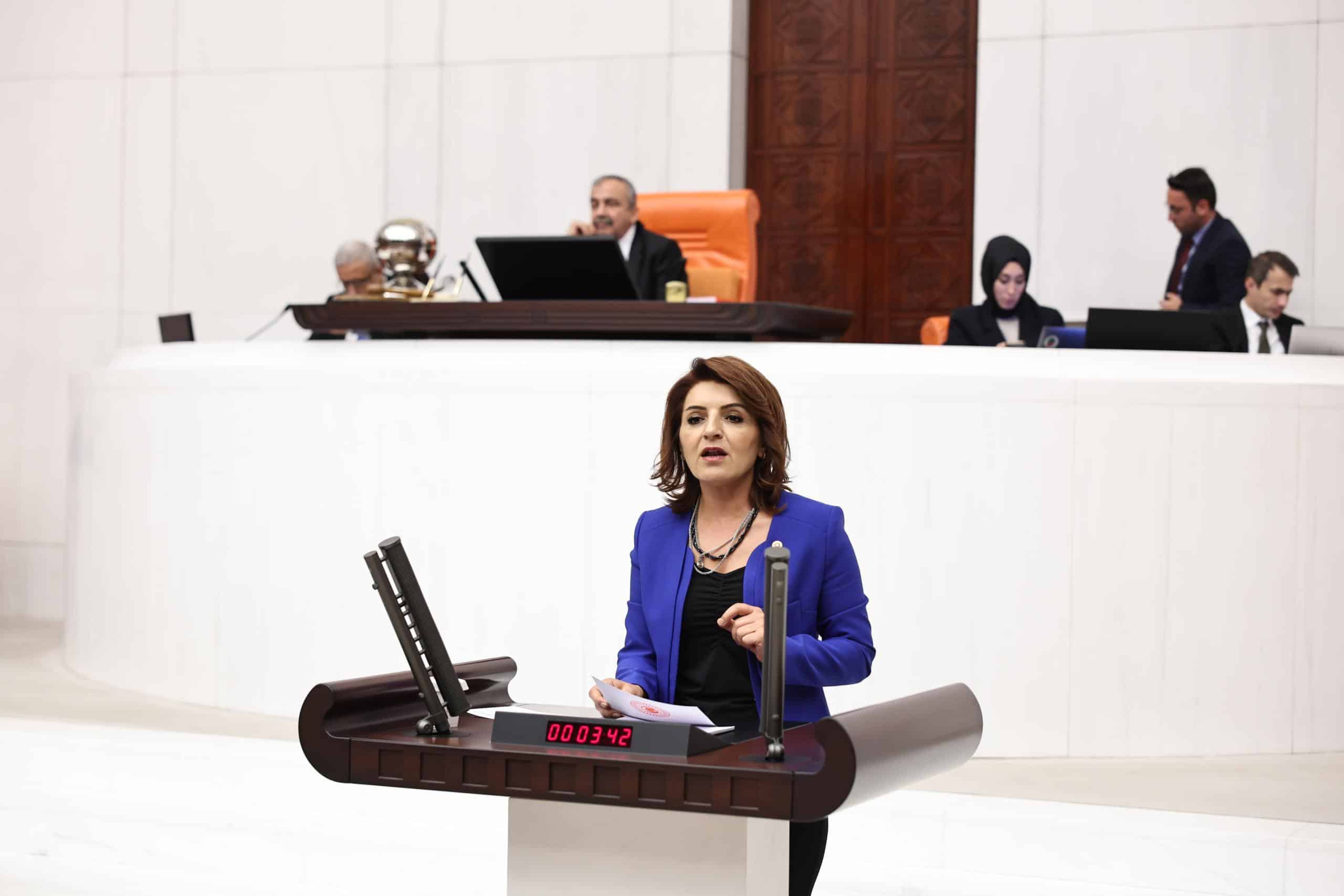CHP’Lİ KIŞ: “ÖĞRENCİLER YURTSUZ, AİLELER ÇARESİZ!”