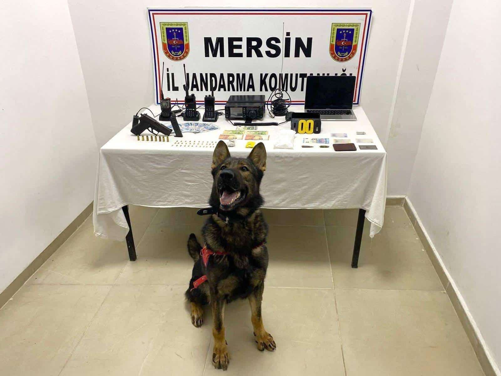 JANDARMADAN UYUŞTURUCU MADDE OPERASYONU