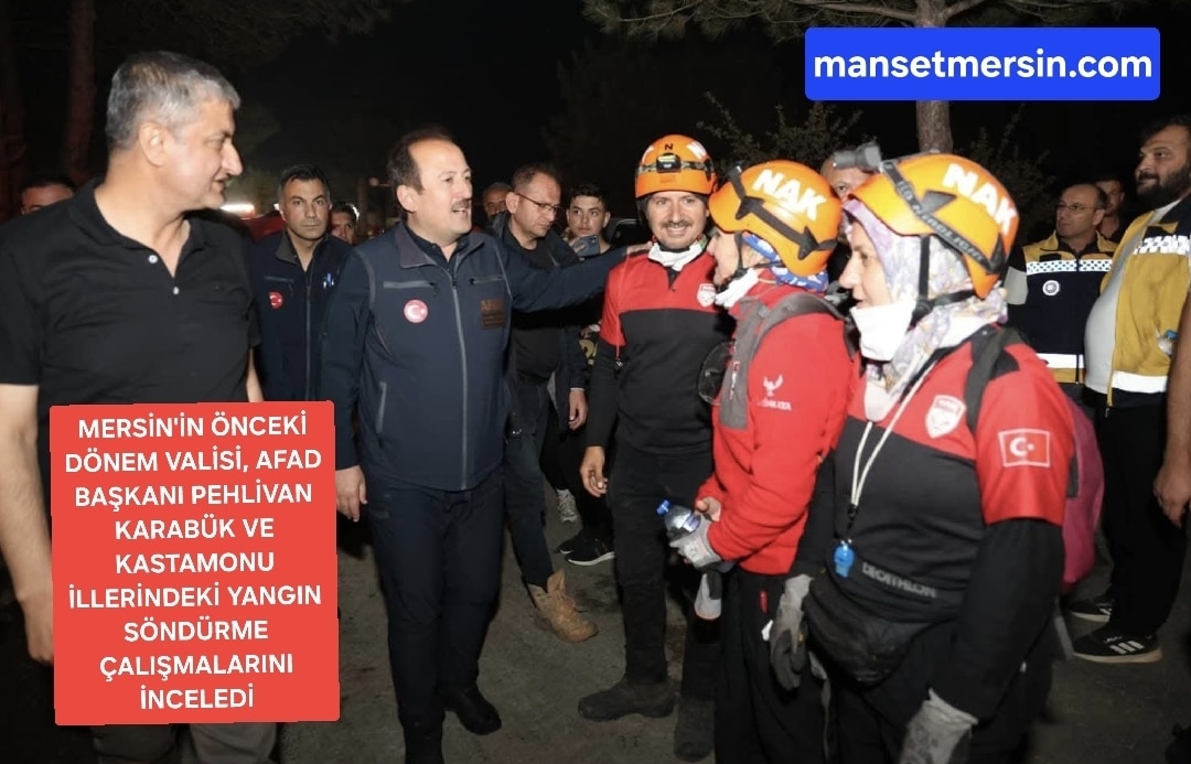 AFAD BAŞKANI PEHLİVAN, KARABÜK VE KASTAMONU İLLERİNDE YANGIN SÖNDÜRME ÇALIŞMALARINI İNCELEDİ