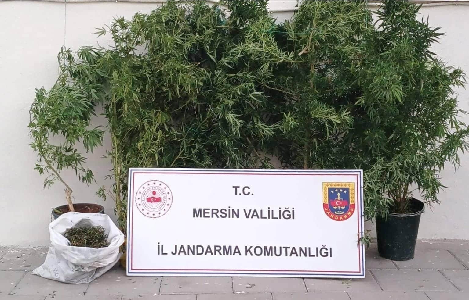 “JANDARMADAN UYUŞTURUCU MADDE OPERASYONU”