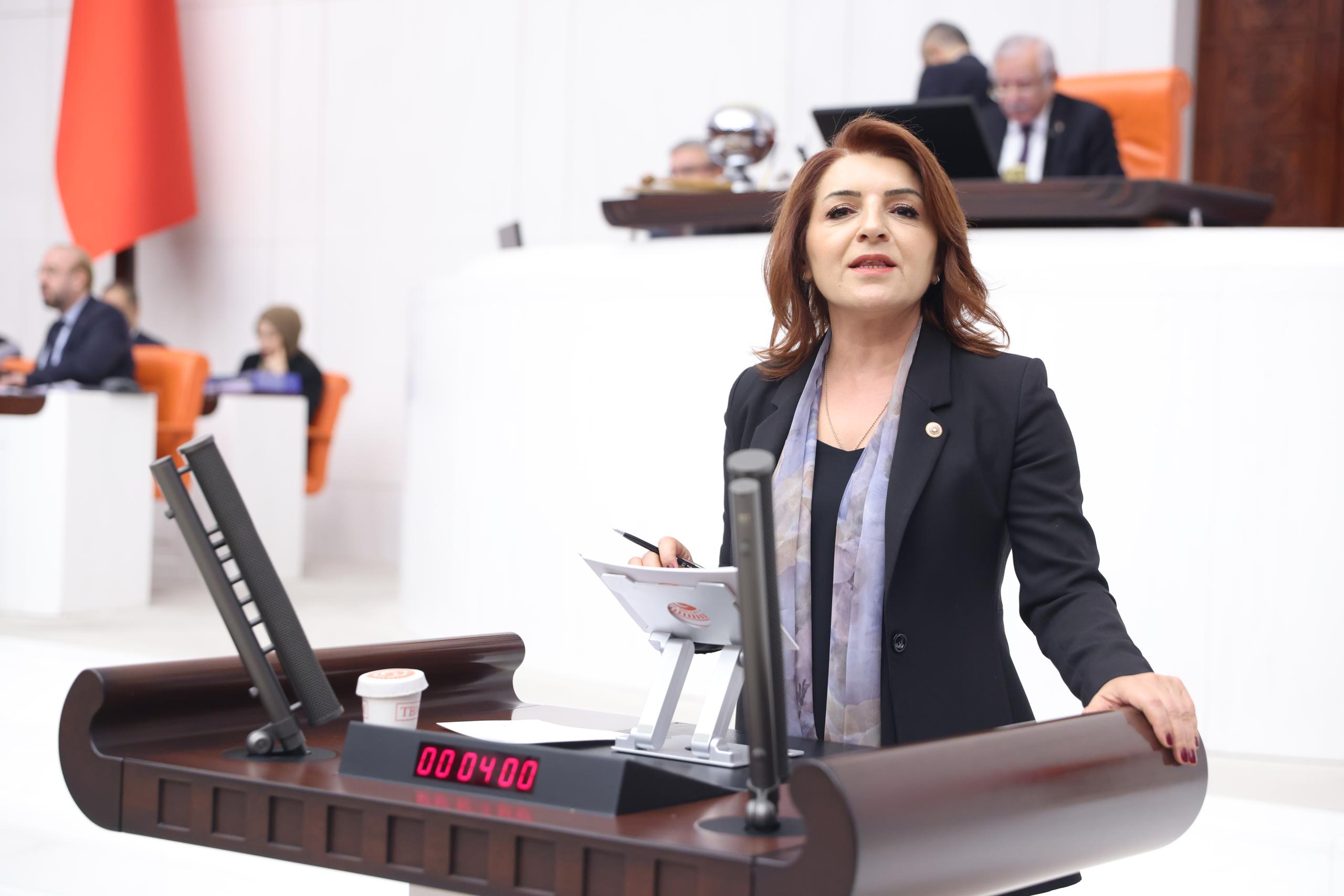 CHP’Lİ KIŞ: “2026 BÜTÇESİ MECLİS’E, 2025’İN FATURASI VATANDAŞIN CEBİNE”