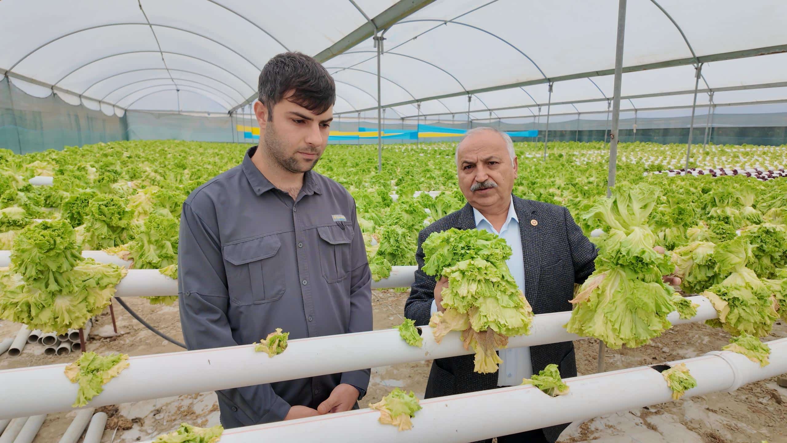 CHP’Lİ DİNÇER: “ÜRETİCİ MARULLARI 2 LİRAYA SATAMIYOR, TÜKETİCİ İSE 50 LİRAYA ERİŞEMİYOR”