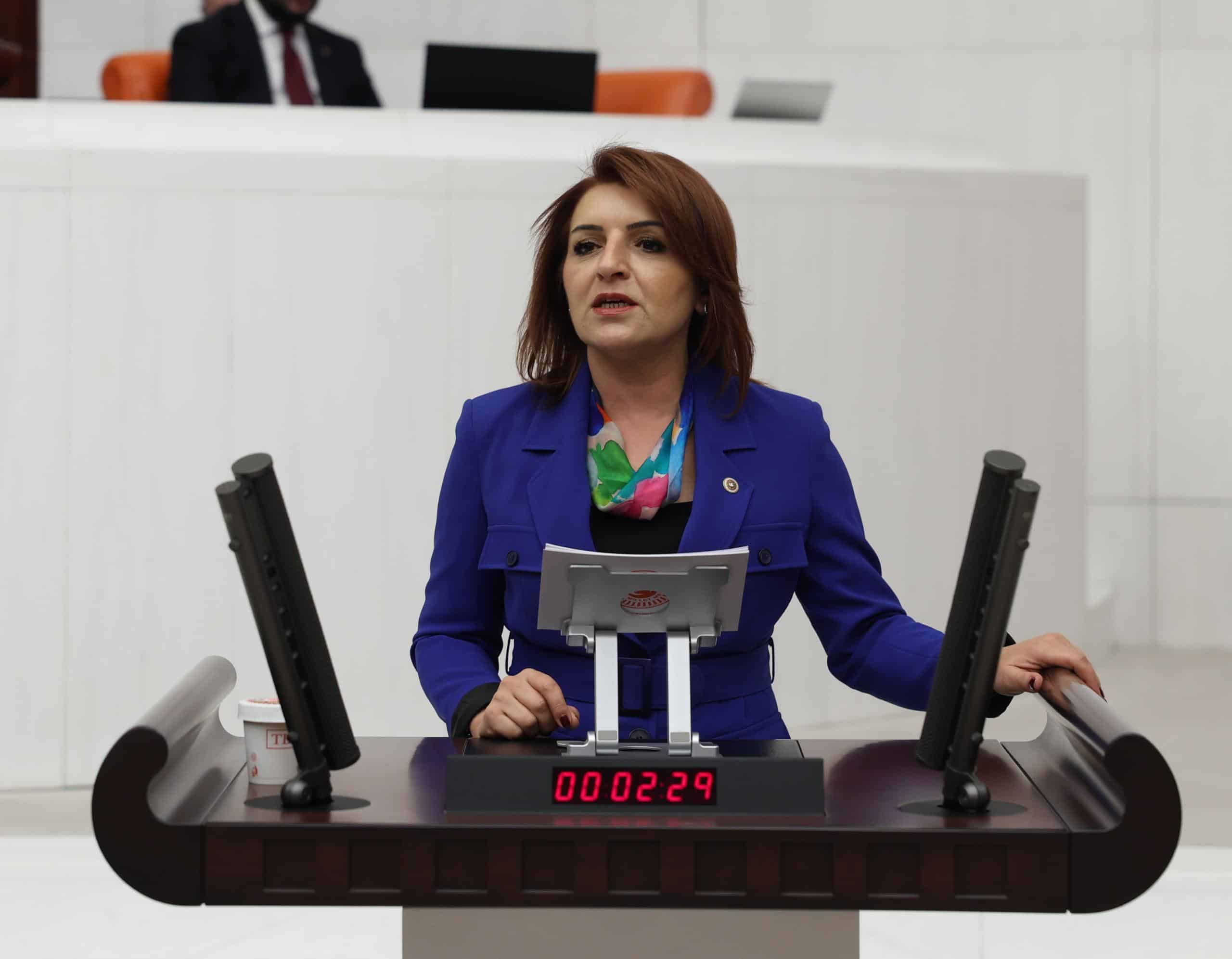 CHP’Lİ MİLLETVEKİLİ:”GENÇLERE MÜJDE DEĞİL, GEÇİM HESABI”
