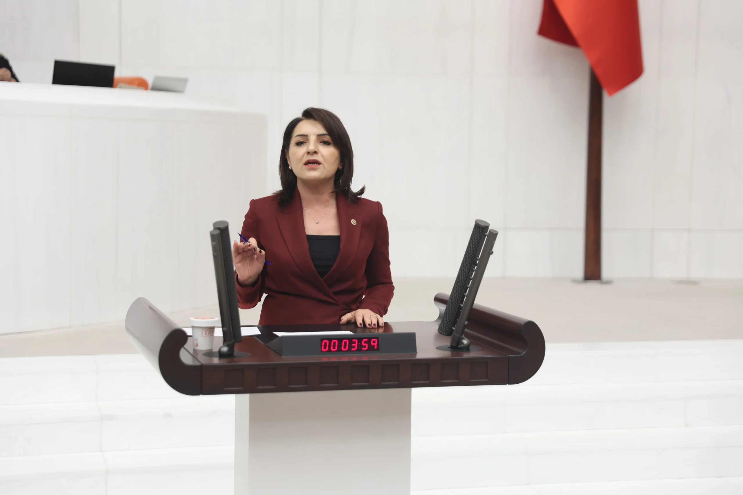 CHP’Lİ KIŞ: “TÜRKİYE TARIM ÜLKESİYDİ, İTHALAT ÜLKESİNE DÖNÜŞTÜRÜLDÜ”